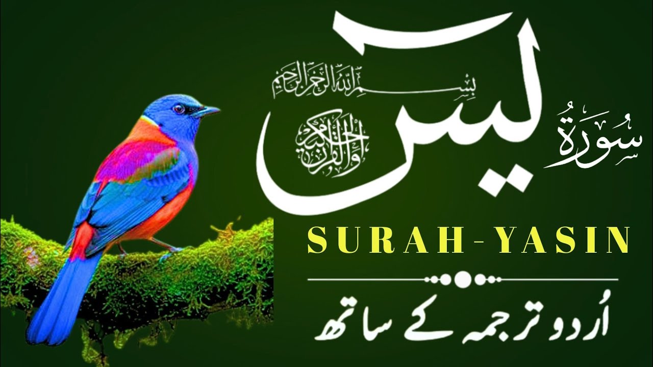 Surah Yaseen with Urdu Translation | Heart of the Quran | Episode 176 | Al Muqra Channel