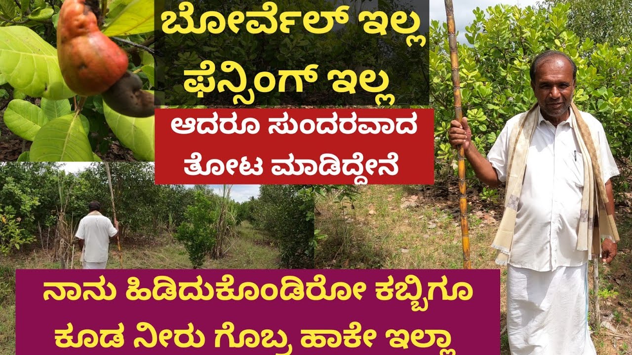 ಲೋ ಬಜೆಟ್ ತೋಟ ಇದು... ಇಲ್ಲಿಗೆ ಹೆಚ್ಚು ದುಡ್ಡಾಕಿಲ್ಲ ಇಲ್ಲಿಂದ ಹೆಚ್ಚು ದುಡ್ಡನ್ನ ತೆಗೆಯೋದು ನಮ್ಮ ಕಾನ್ಸೆಪ್ಟ್... ಮ