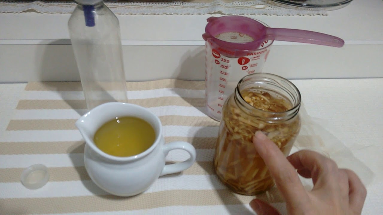 Como eu faco meu probiótico de gengibre( ginger bug)