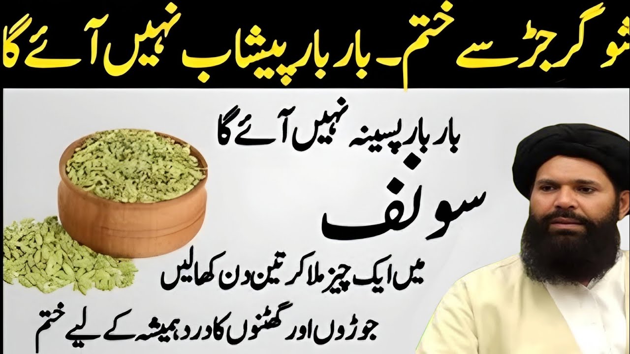 Rumi Quotes Urdu | Hikmat Ki Batain | Motivational Quotes About Life | Golden Words _