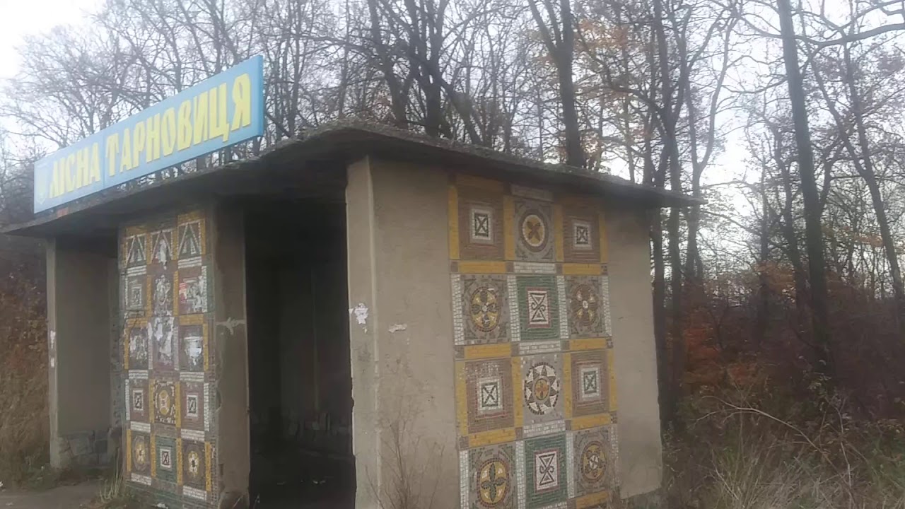 Автобусна станція в Тарновиці.13 листопада 2019