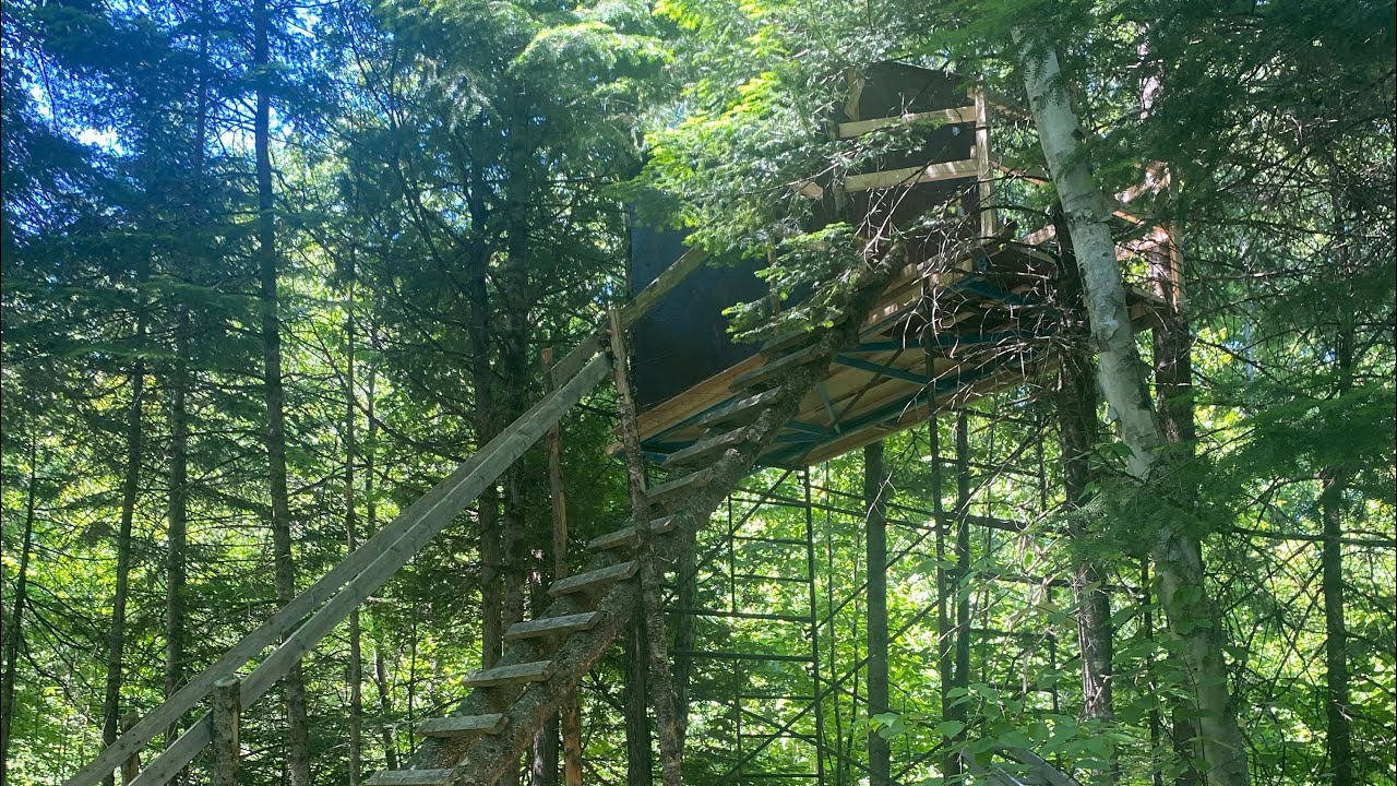 Construction de cache pour chasse au chevreuil