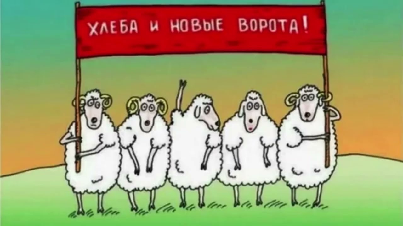 Ответ кастрюлеголовым