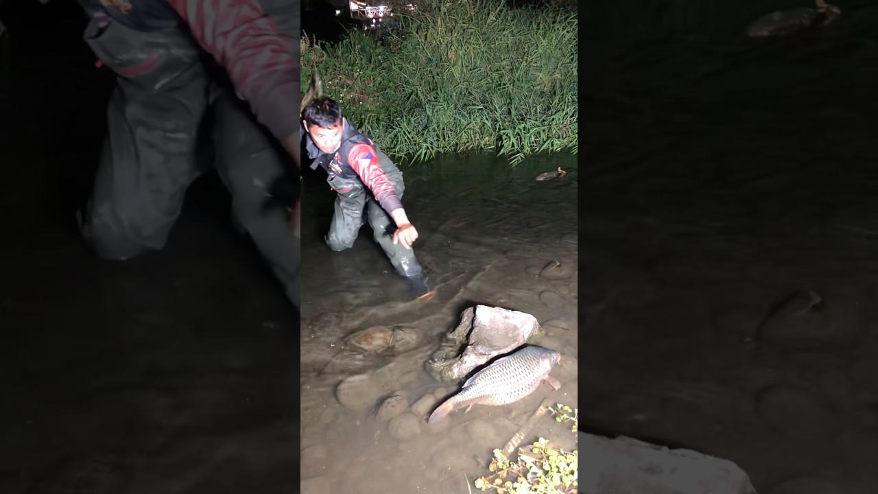 Bumungad napakalaking karpa 😱