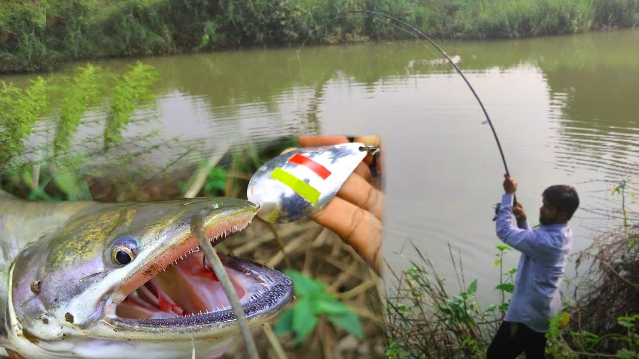 Best Patan Fishing Technique||Padhina Fish Catching||Spoon Fishing Tips||Wallago Attu Catfish Catch