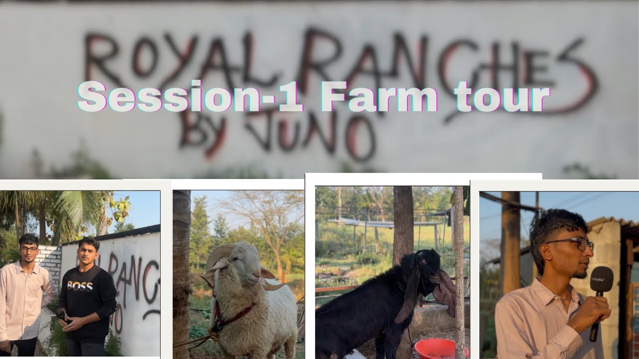 👉 Part 1 | Farm Tour of Royal Ranches 🐐🐑