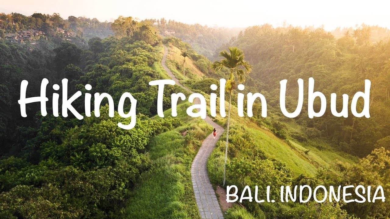 Campuhan Ridge Walk in Bali