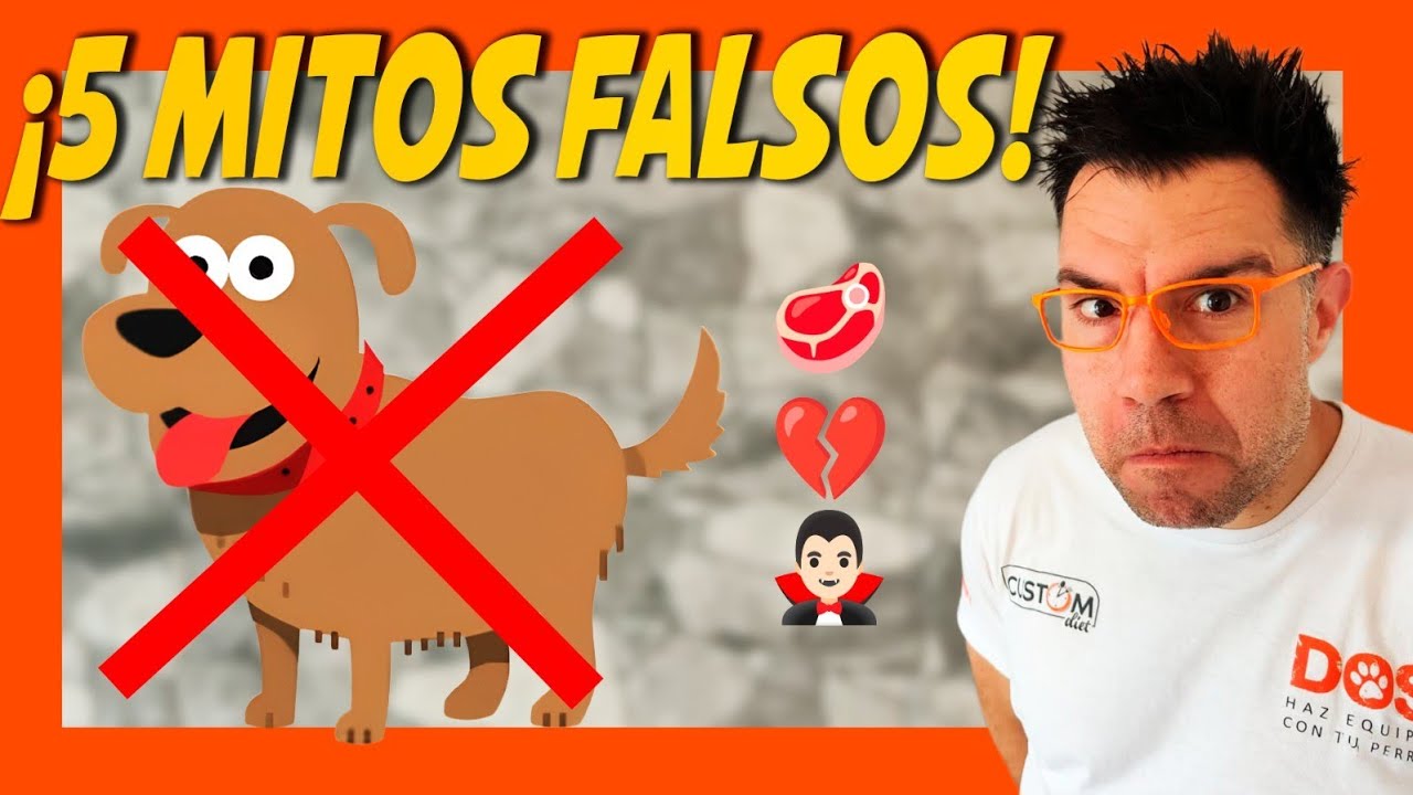 ¿CREÍAS ESTO? 😱 DESMONTAMOS MITOS CANINOS QUE SON FALSOS ❌