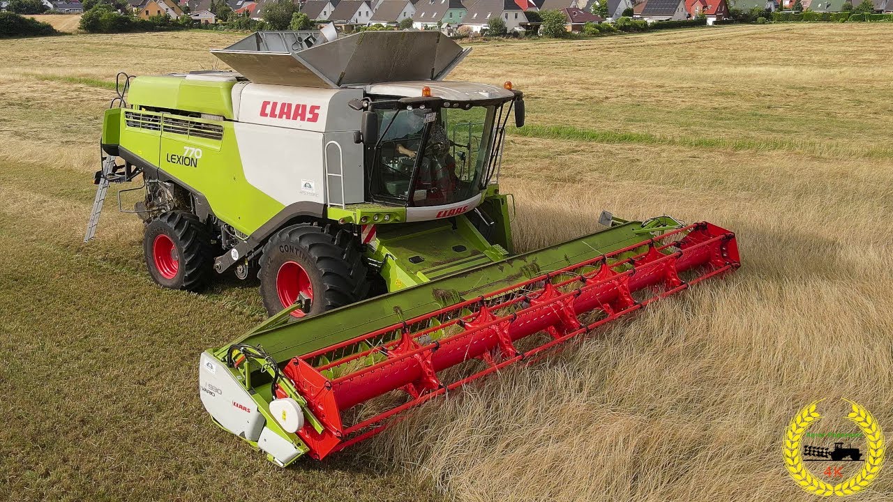 Gras Dreschen / Claas Lexion 770 mit Vario 930 / Fendt / John Deere / Sorte Deutsches Weidelgras