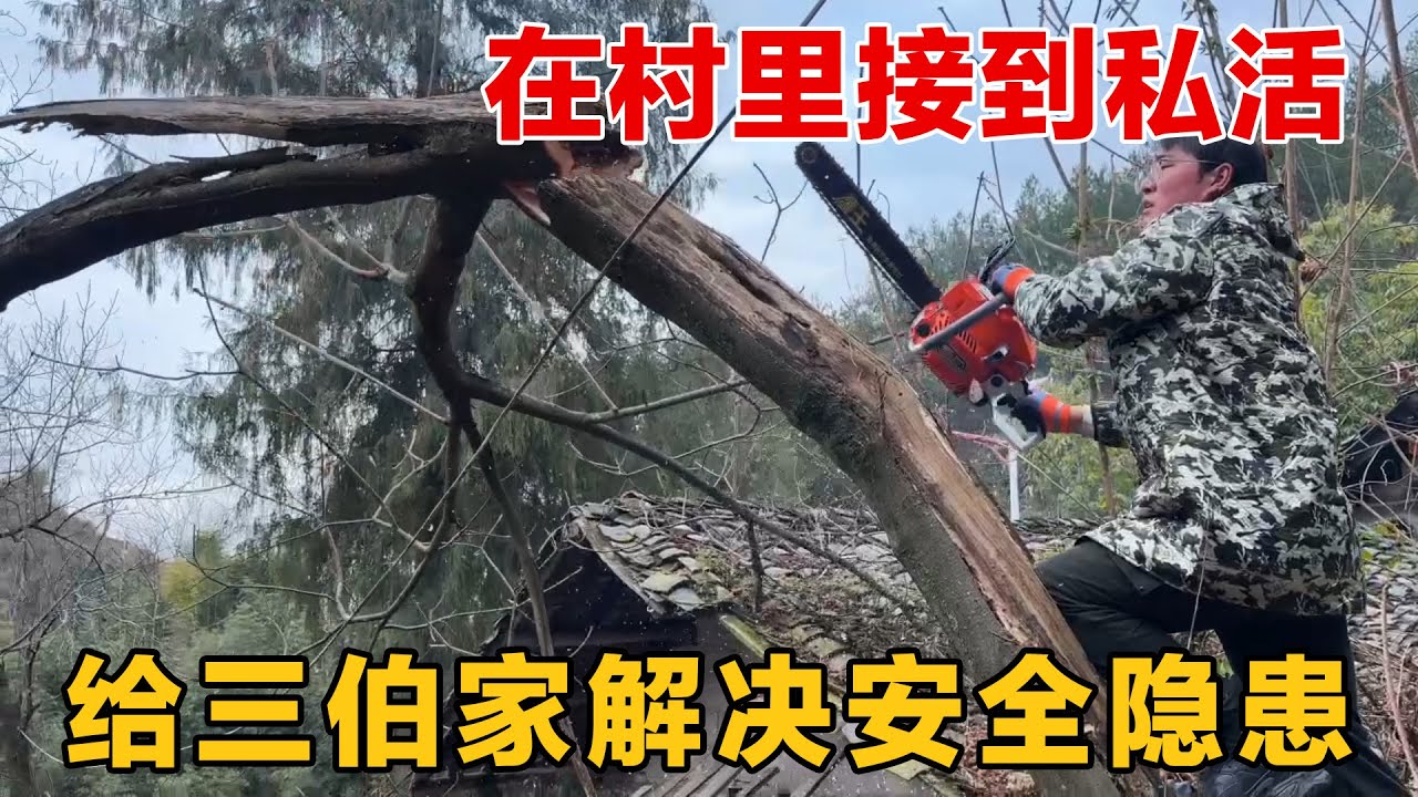 买油锯后还能在村里接到私活，不仅给三伯家解决了安全隐患，还换取到一棵大树当柴火