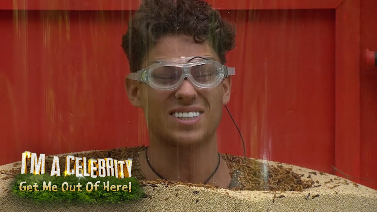 Joey Shows Off His Counting Skills | I'm A Celebrity... Get Me Out Of Here!