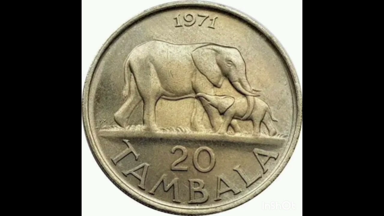 Wizzie Mkwezalamba-Malawi