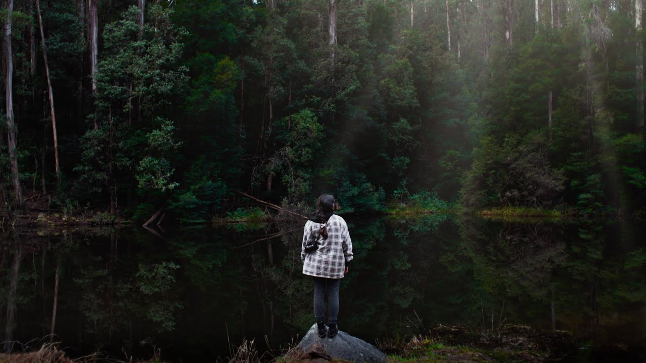 Deep in the forest / Cathedral Range, Rubicon Valley, Big River 4WD Road Trip