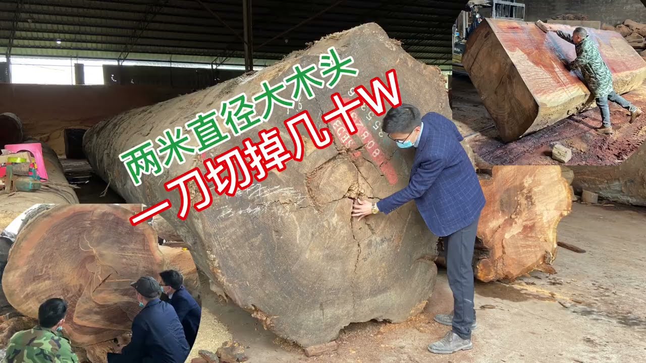 花30万买根直径2米的大原木，锯开一看烂成这样，还能做什么「老蒋根雕」