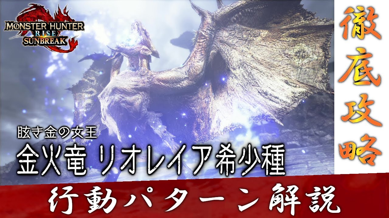 【MHR:SB】金火竜 リオレイア希少種 攻略【行動パターン解説】【モンスターハンターライズ：サンブレイク】