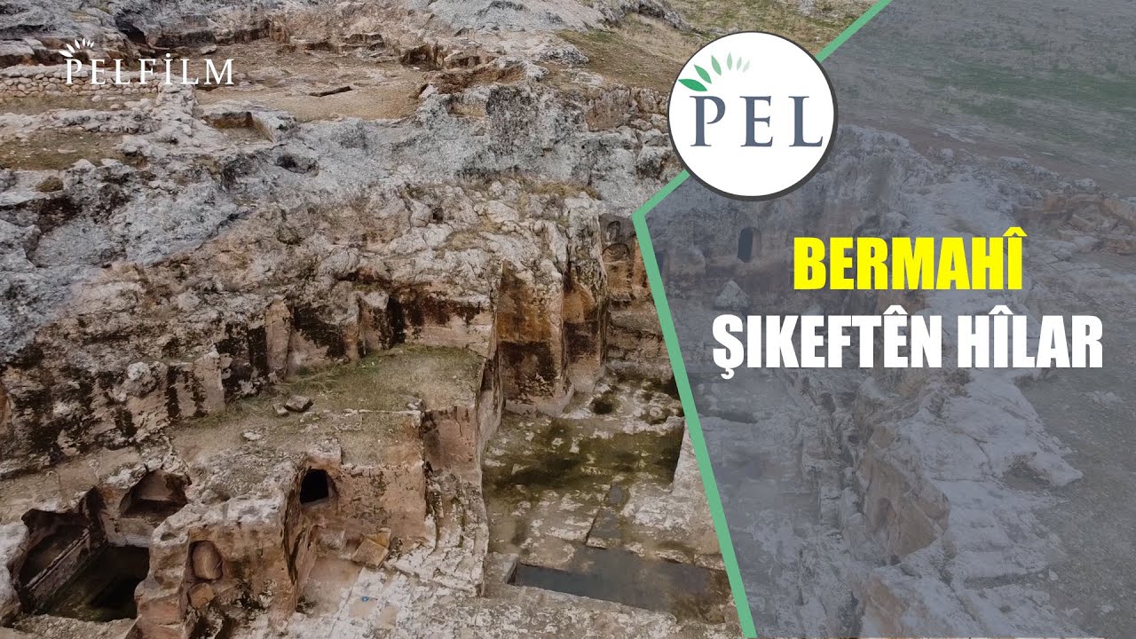 BERMAHÎ - ŞIKEFTÊN HÎLAR