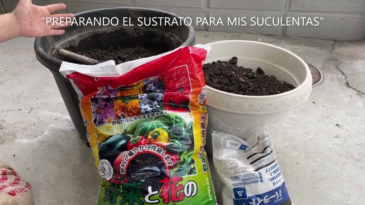 #137 PREPARANDO EL SUSTRATO PARA MIS SUCULENTAS