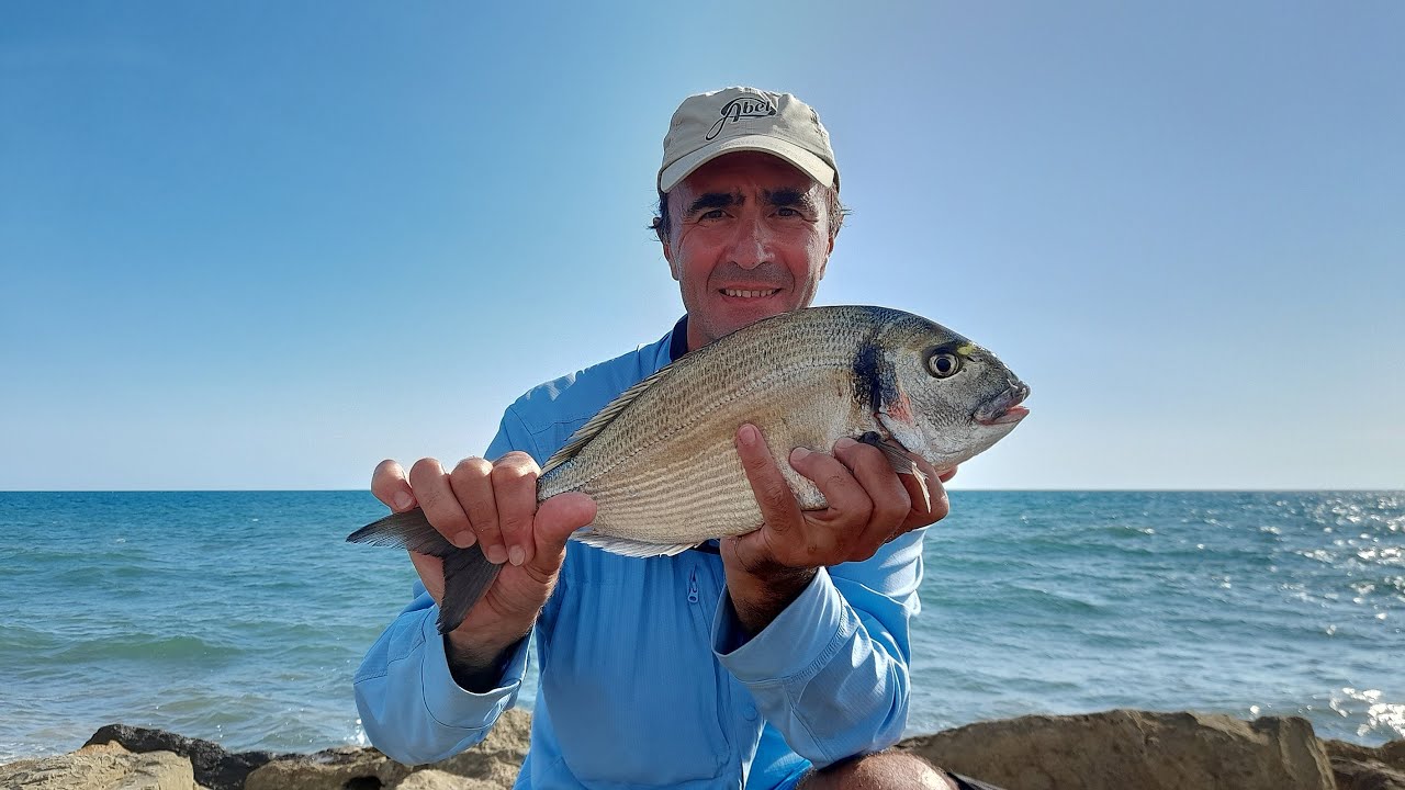 PESCA ALL'ORATA CON LA COZZA (Montatura e Inneschi)