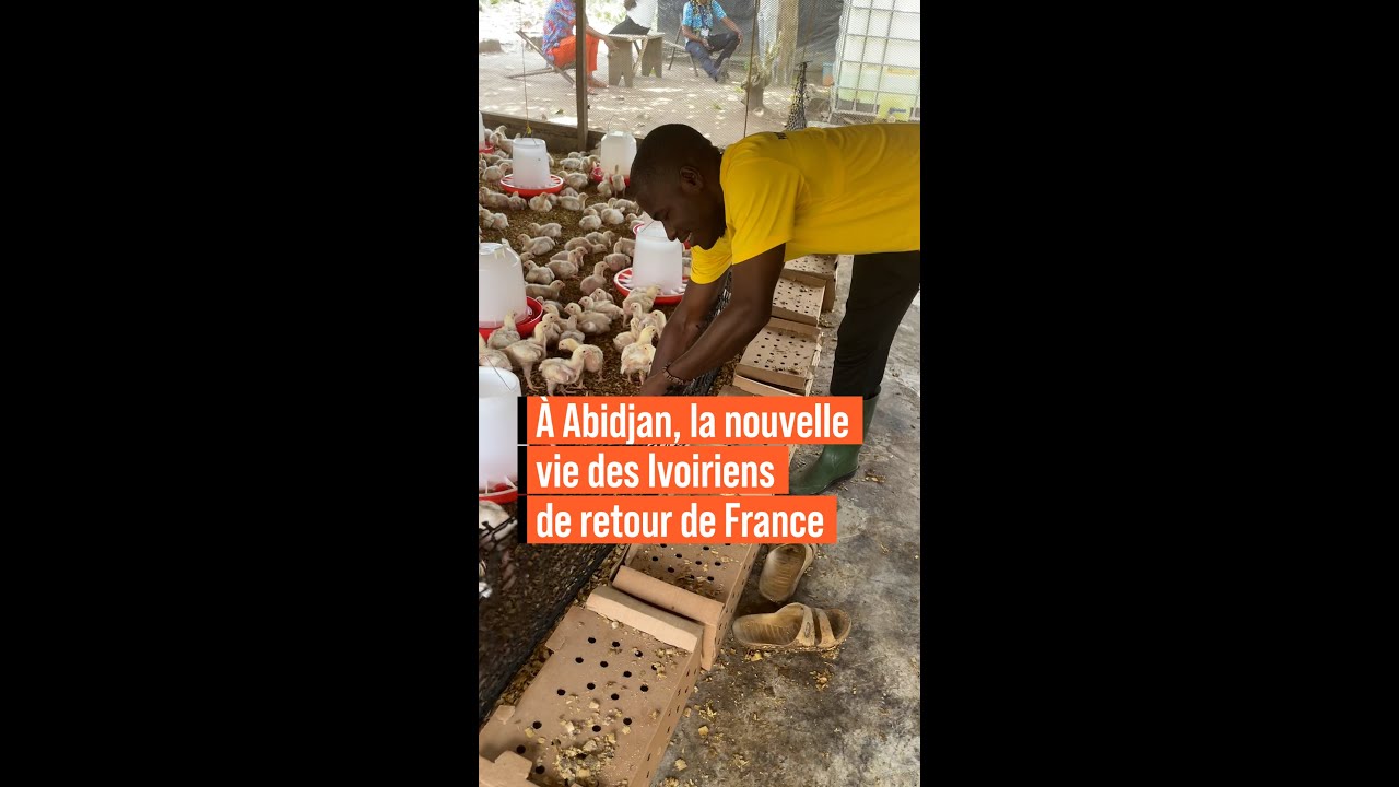 À Abidjan, la nouvelle vie des Ivoiriens de retour de France