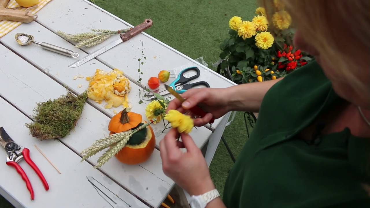 Mencke Gartencenter Kürbis-Deko selbstgemacht