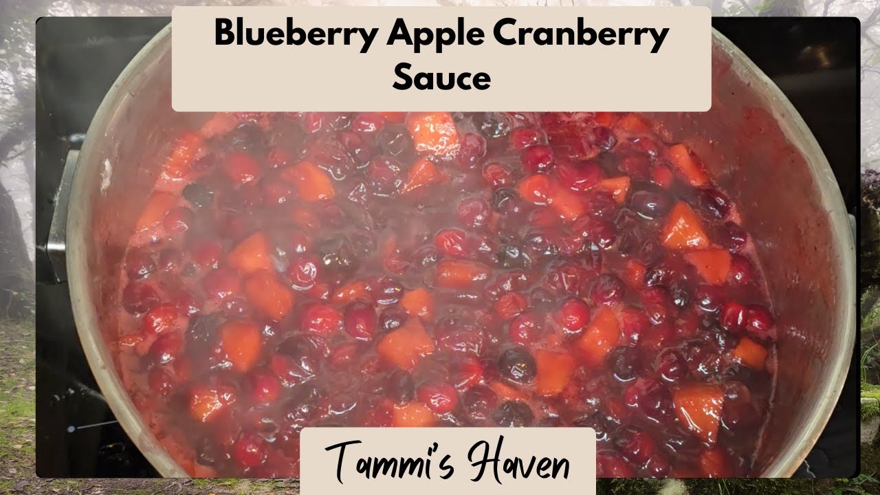 Blueberry Apple Cranberry Sauce - so easy and very rewarding!  #cranberrysauce #christmas #homemade