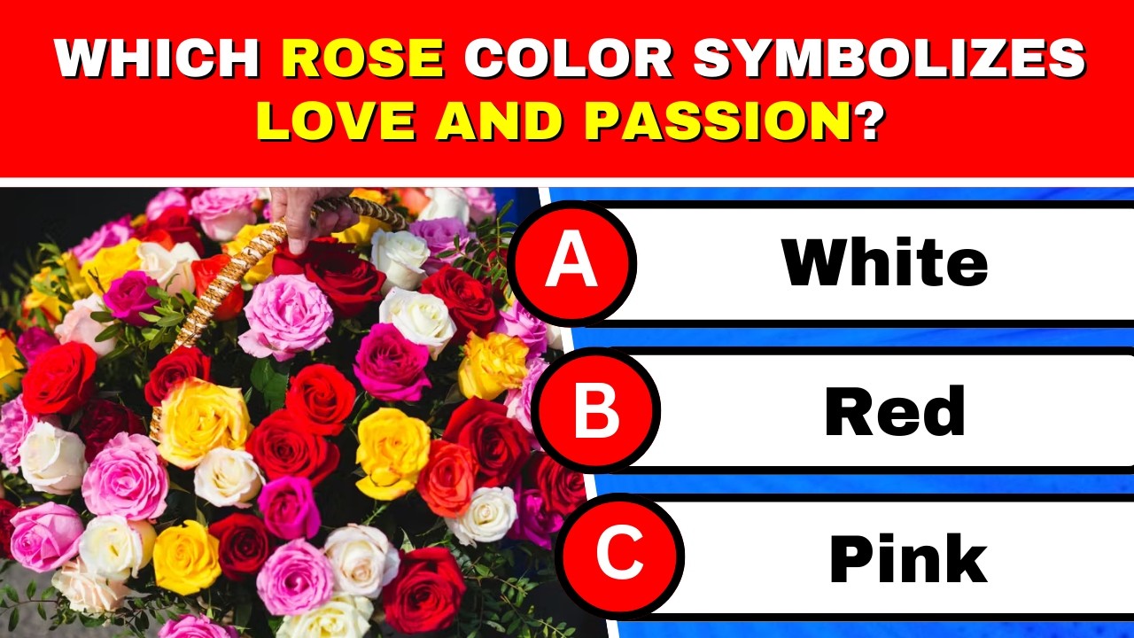 Valentine’s Day Quiz: Surprising History, Facts & Love Trivia