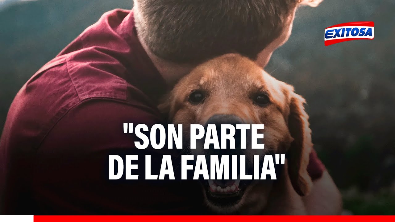 🔴🔵Vocero de Asociación de Protectora de Animales a favor de licencia por fallecimiento de mascotas