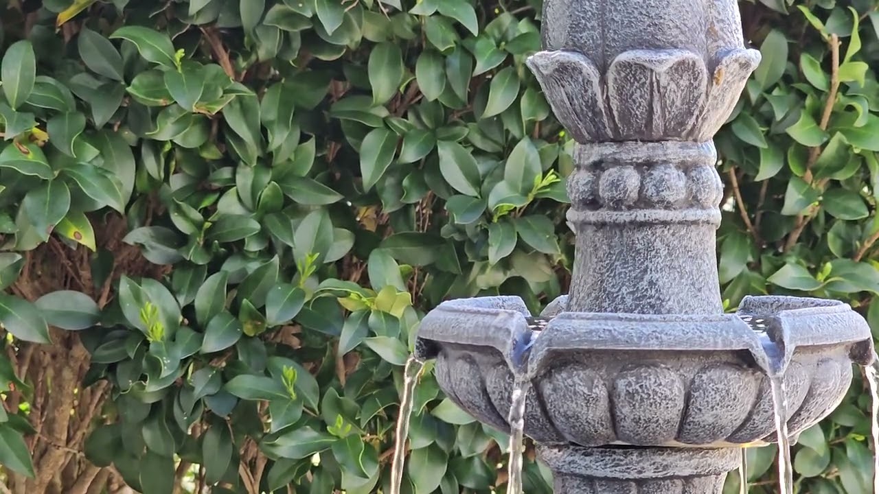 Relaxing Garden Fountain 🌿 Water Sounds & Birds | 1 Hour Spring Nature Ambience