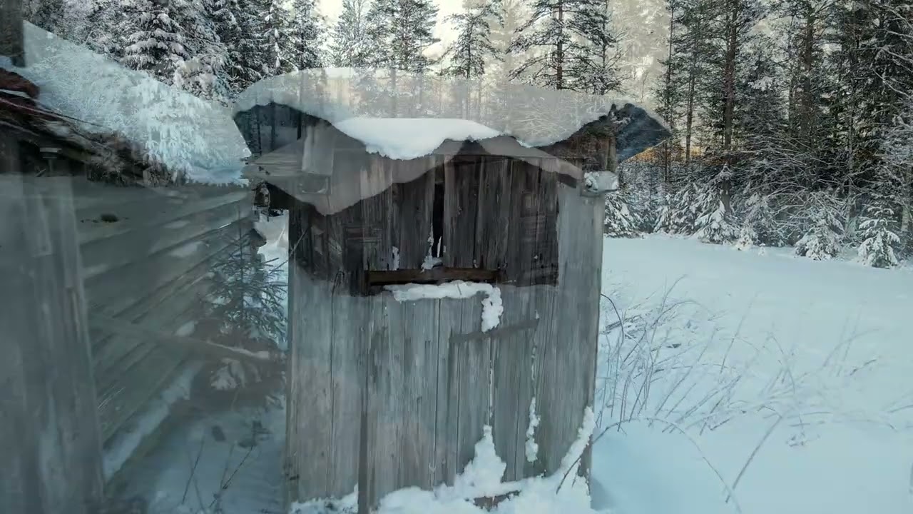 Gubben i stugan (Kestina) vintern 2023