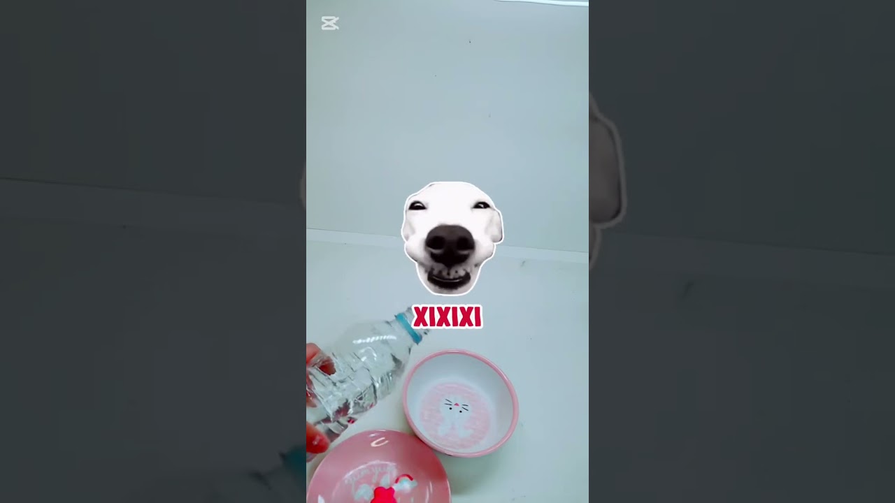 인형계 3회차 #새로운 친구 키티