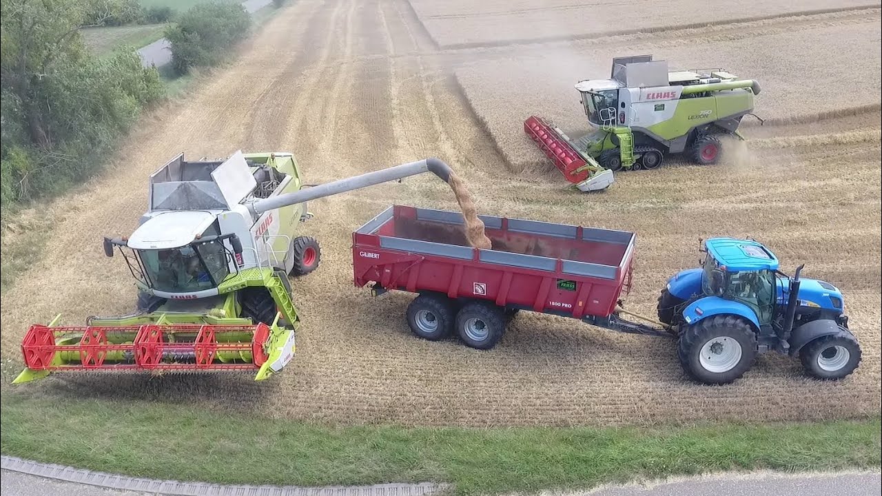 Moisson De Blé Avec 2 Moissonneuses Claas Lexion