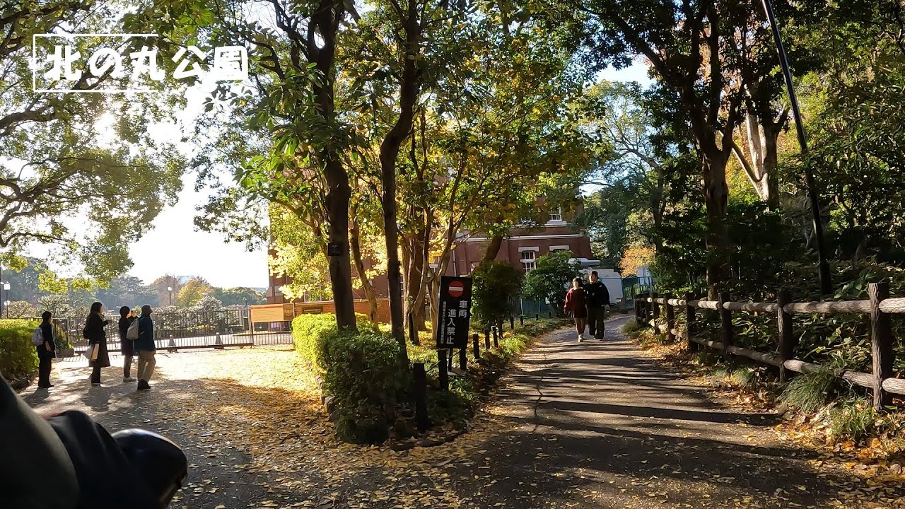 高低差は自転車で 神楽坂・靖国神社・北の丸公園・日本武道館・日比谷公園 2025.12.5