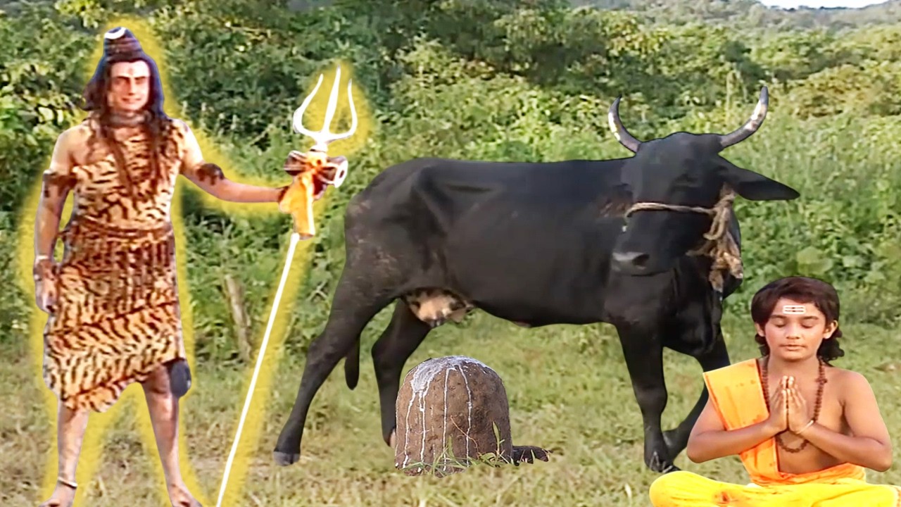 कैसे इस भक्त और गैया ने शिव अभिषेक कर उन्हें प्रसन्न किया? om namah shivay