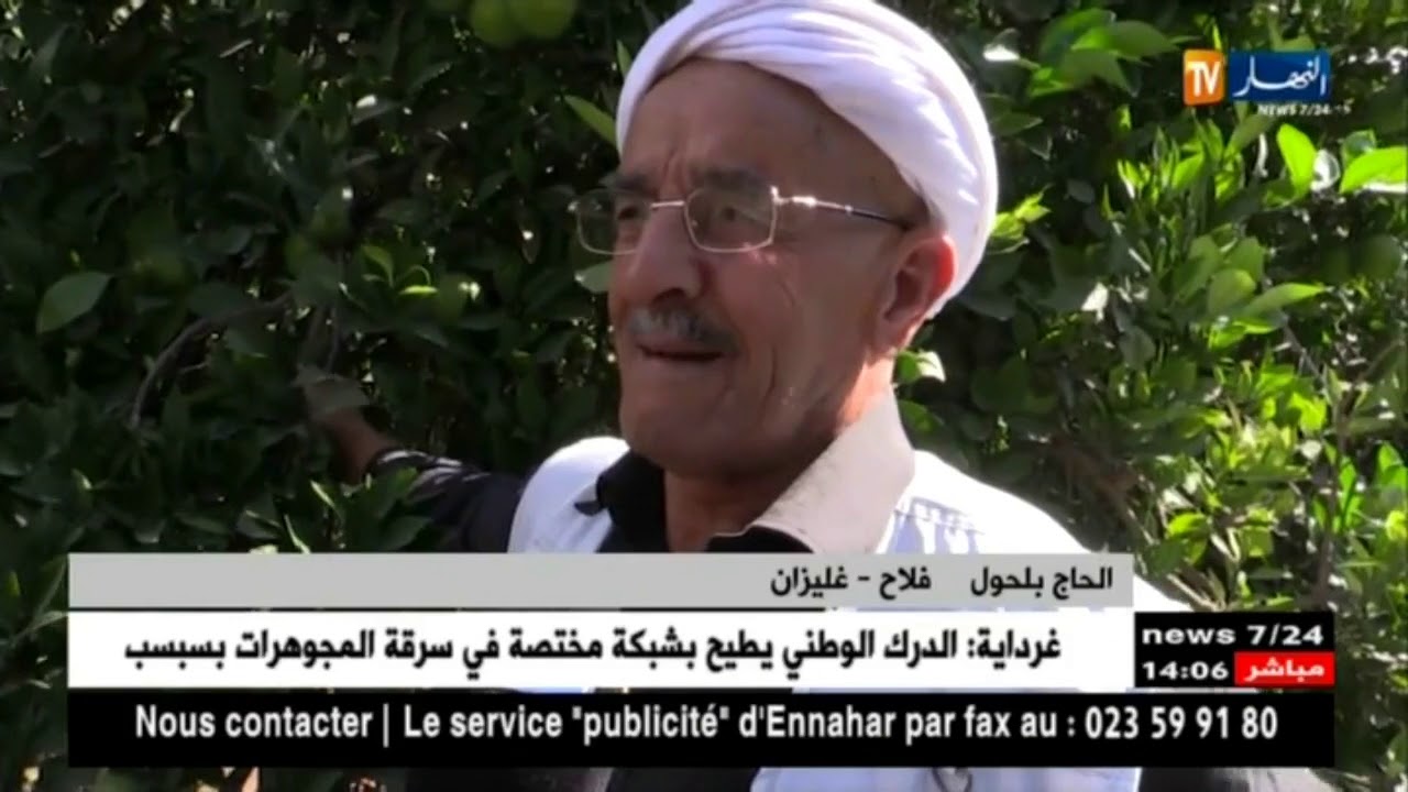 غليزان : الخنازير البرّية تسبّب خسائر كبيرة لشعبة الحمضيات بـيلل !!