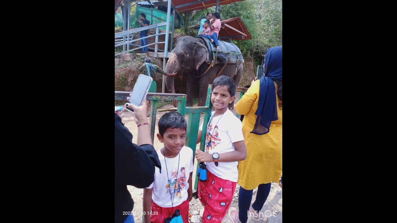 MUNNAR SIGHTSEEING #munnarsightseeing #DAY1#waterfalls #MUNNAR SIGHT SEEING IN  ONE DAY