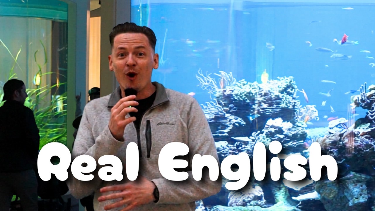 Learn Real-Life English Exploring One of America’s Most Famous Aquariums 🐋🇺🇸 | Comprehensible Input