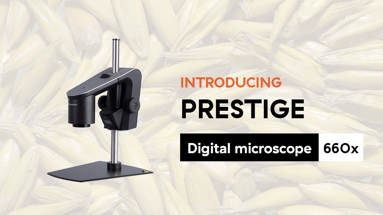 PRESTIGE - 660x magnification on a digital microscope