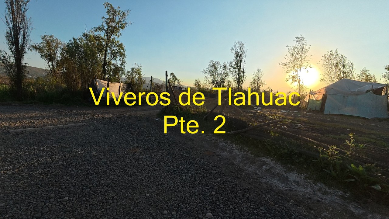 Viveros de Tlahuac Pte 2