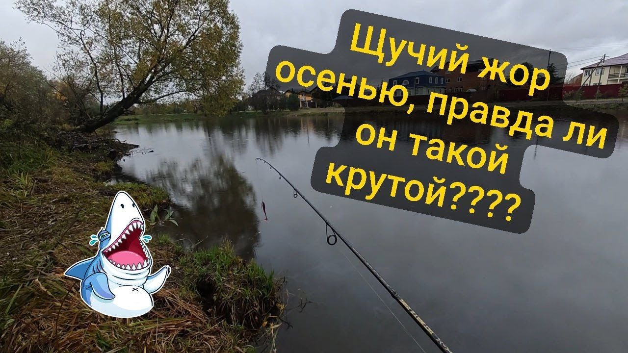 🎣Щучий жор осенью?? Проверка щучьих мест: ловля на джиг, большую резину + обкатка сапог TORVI Лиман
