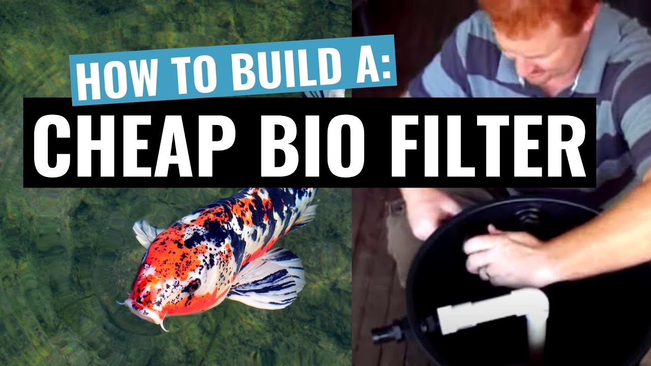 Easy DIY home made cheap BIOLOGICIAL FILTER for KOI POND-  under $100🐟