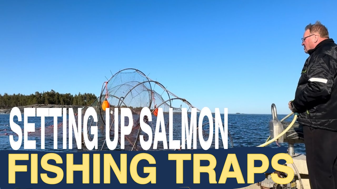 Salmon fishing traps in the sea
