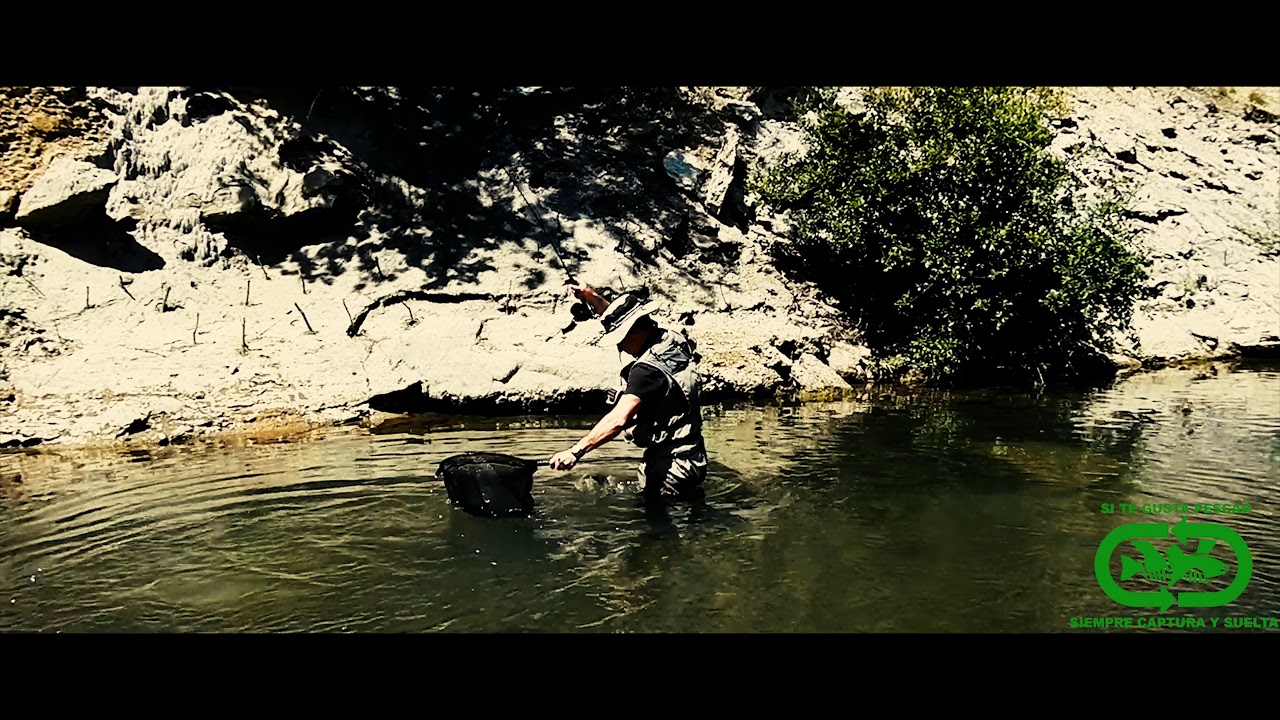 Pesca Rio Arga