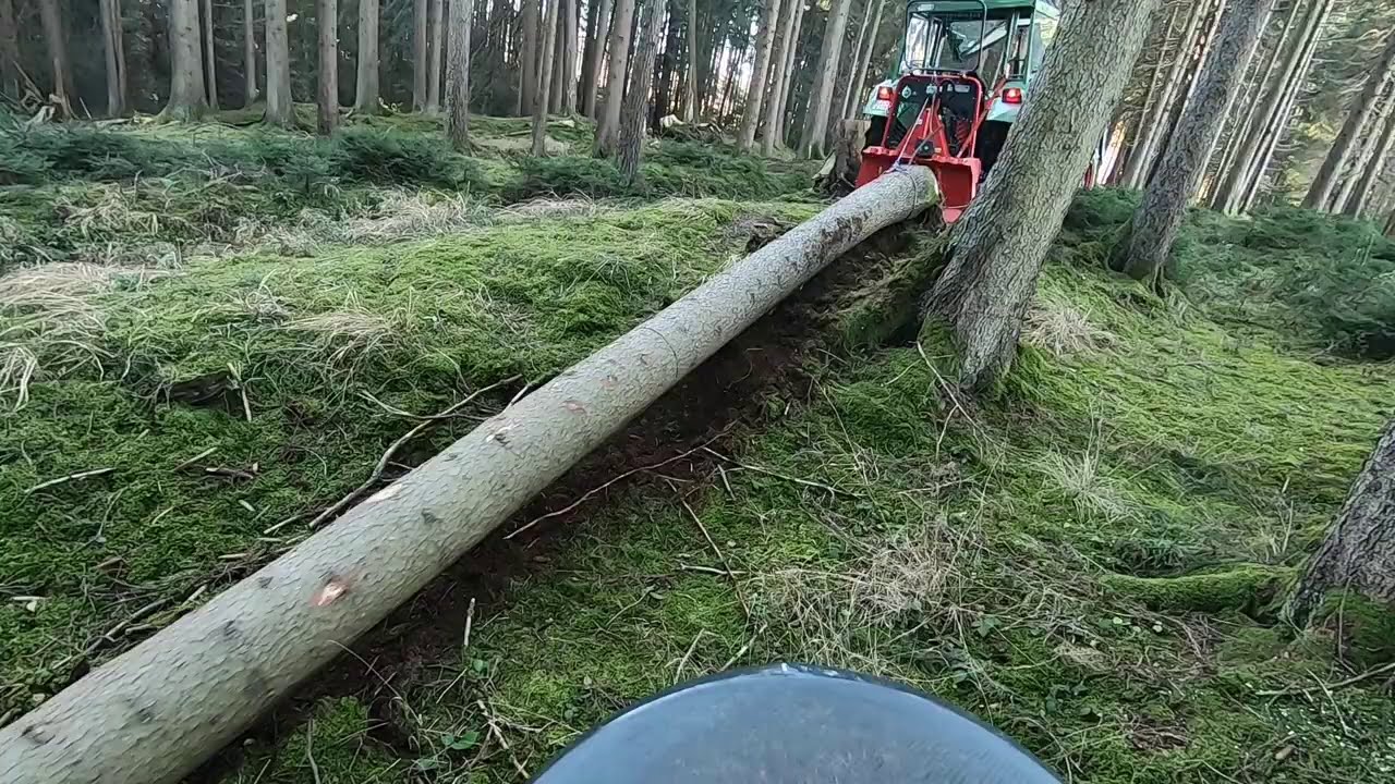 Waldarbeiten mit Fendt 108 S, Stihl MS 261, Rücken mit Oehler Seilwinde und Umlenkrolle,