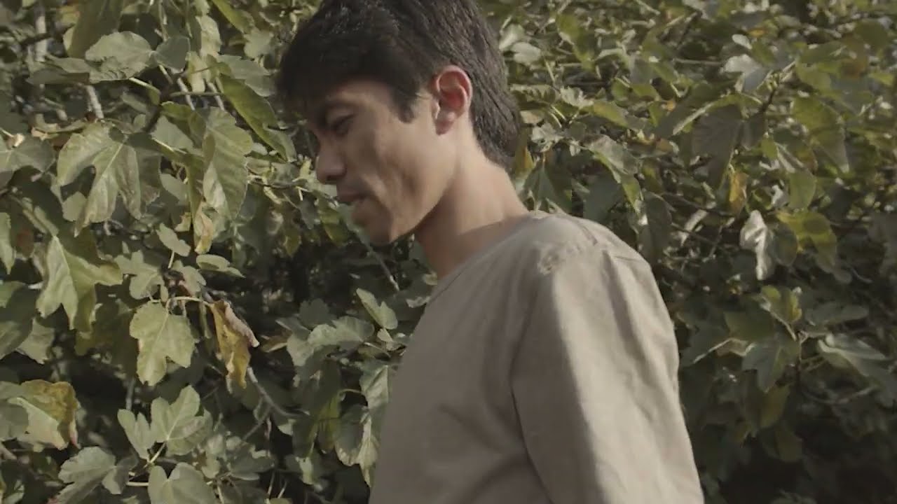 Microdocs (Residencies) 2022 — Felipe Shibuya