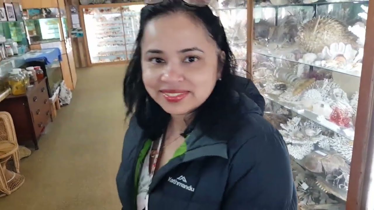 The Biggest Sea Shell collection in Australia