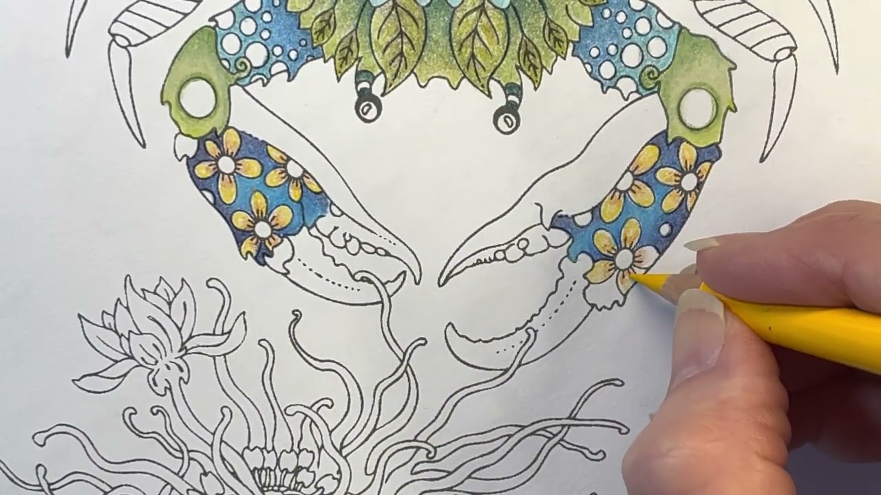 RubyCharmColors: Coloring with Holbein Colored Pencils in the Big Book of Color Charts, Artist Ed.