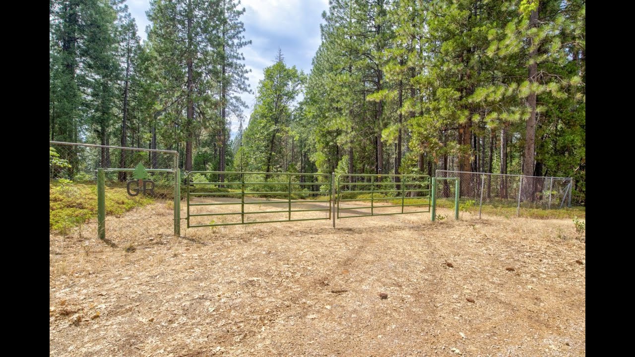 Whispering Pines 158 Acres Family Legacy Available