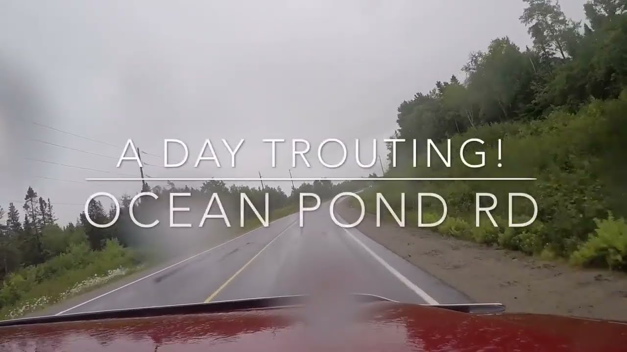 Newfoundland Trout Fishing & Boil-Up | Ocean Pond Road 2015