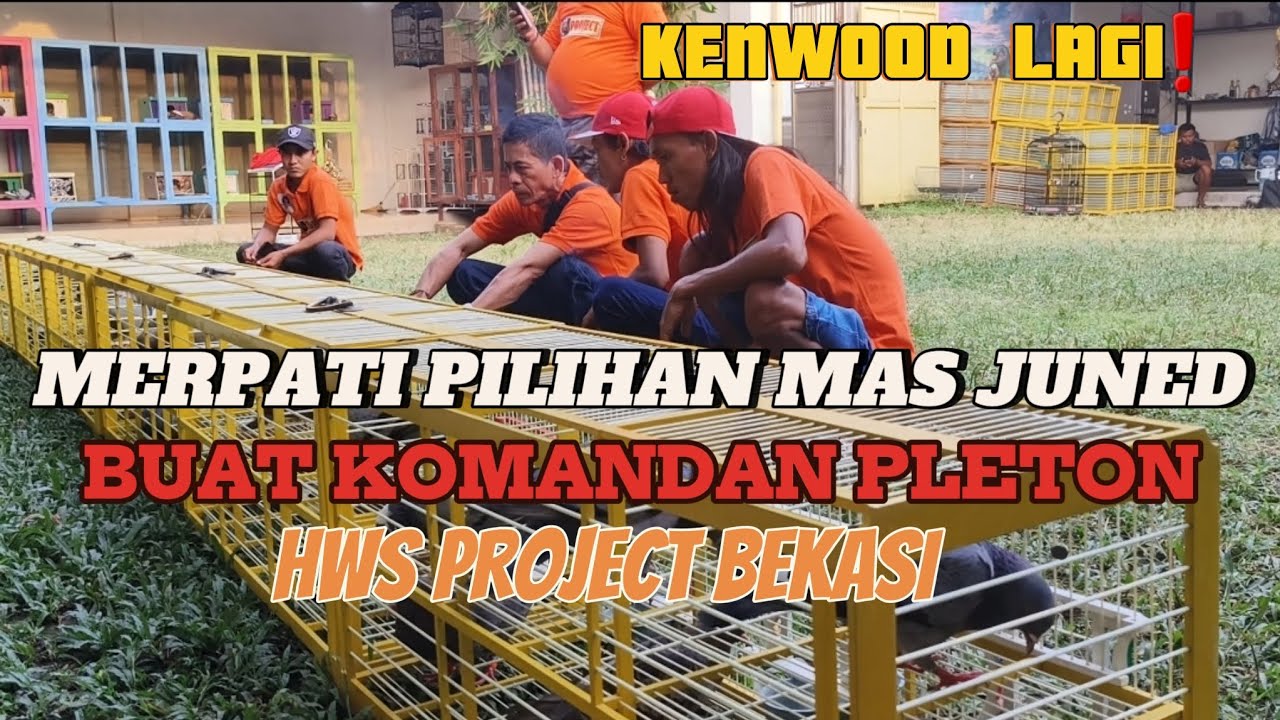 🔴PAK HAJI HWS ❗BAWA PAWANG BUAT MILIH BURUNG DI KANDANG PACEK MAS JUNED KENWOOD PAMAN❗