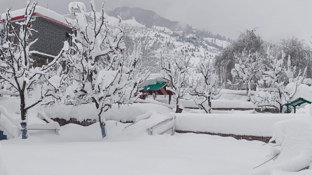 Manali morning 🌄 on 28 Jan 🏔️❄️#snow #manalidey #morning #mountains #snowfall 